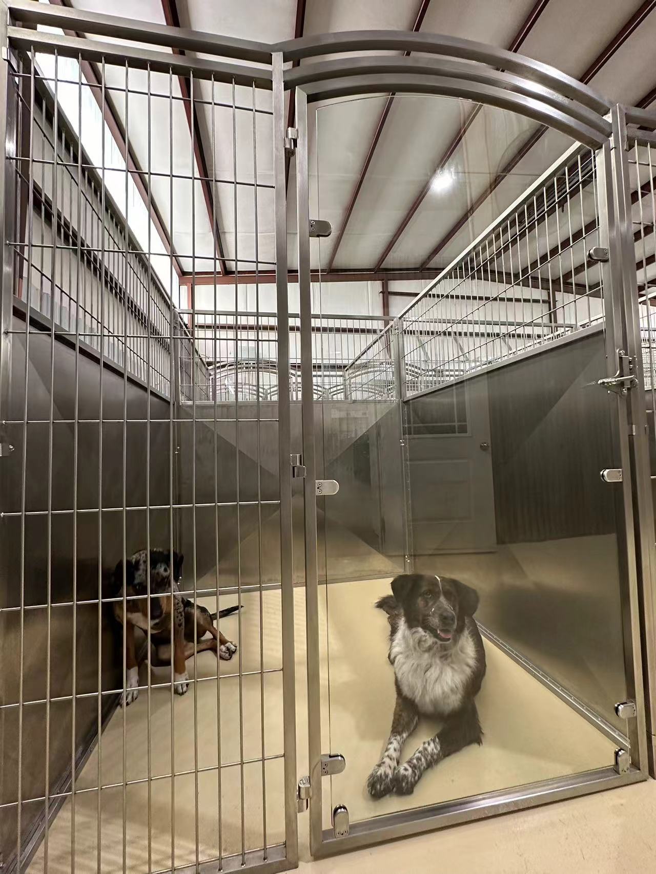 Pet Hospital Luxury Simple Solid Stainless Steel Kennels Pet Boarding Modular Large Dog Kennel 3D Customization Multifunction