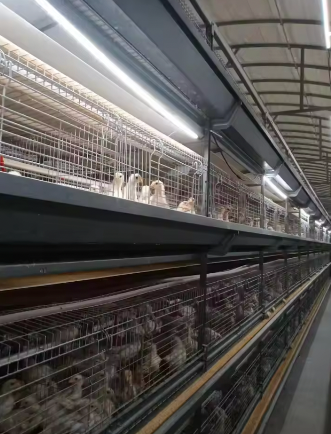 Welded Mesh Chick Brooder Cage Stackable Multi-layer with Egg Rolling Net Home Breeding Cage Welding