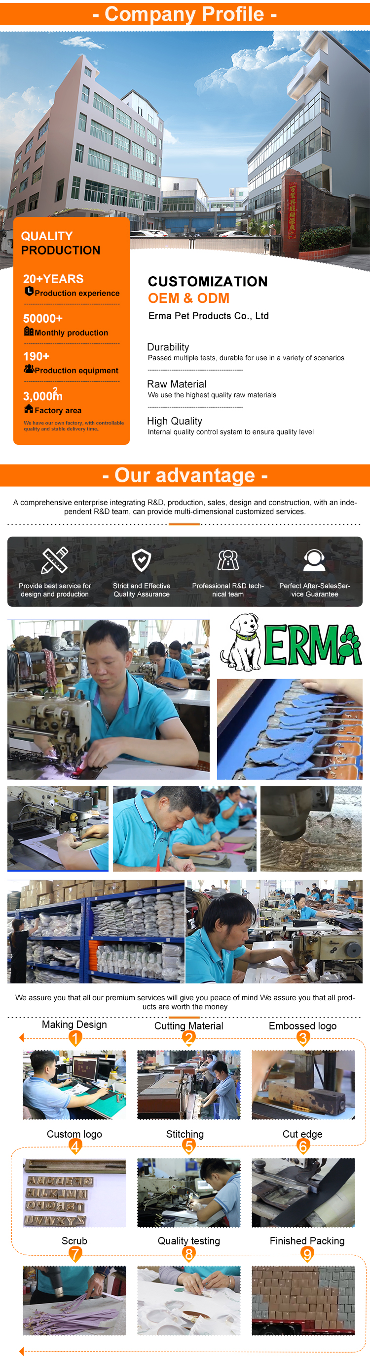 Company Profile