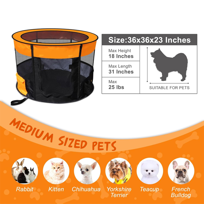 Pet Products Showcase 3