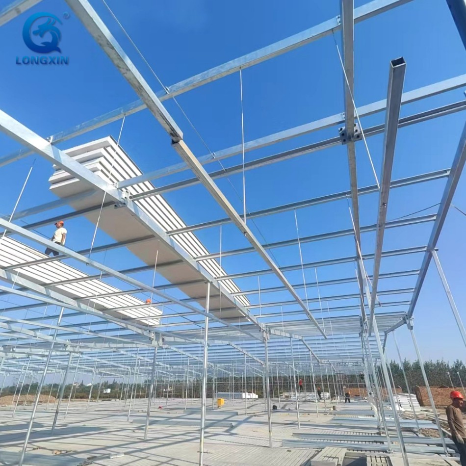 Steel Pig Barns Modular Housing Systems Quick-Install Poultry Farm Buildings Lightweight Structure