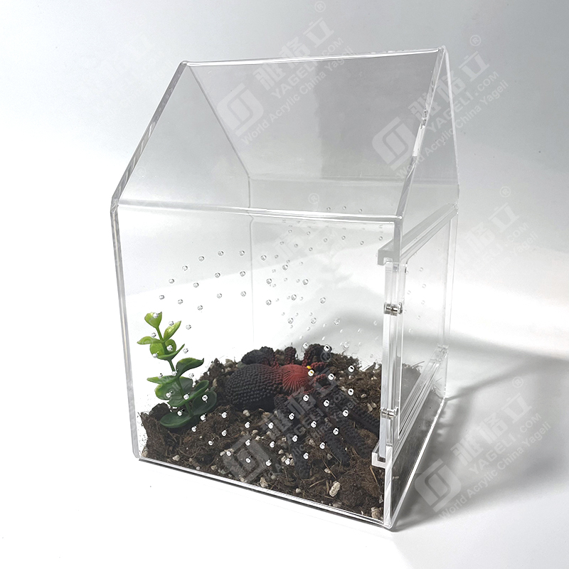 Custom Jumping Spider Enclosure Clear House Shape Acrylic Reptile Spider Box Enclosure