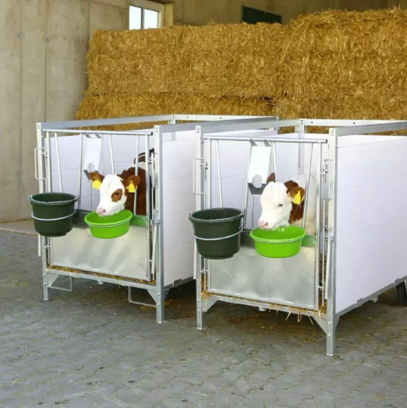 Related Product 4