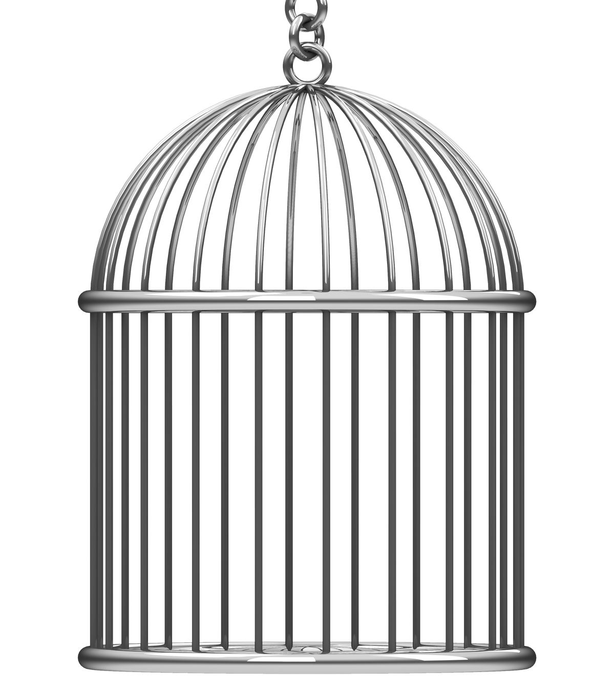 Bird Cage Design 4