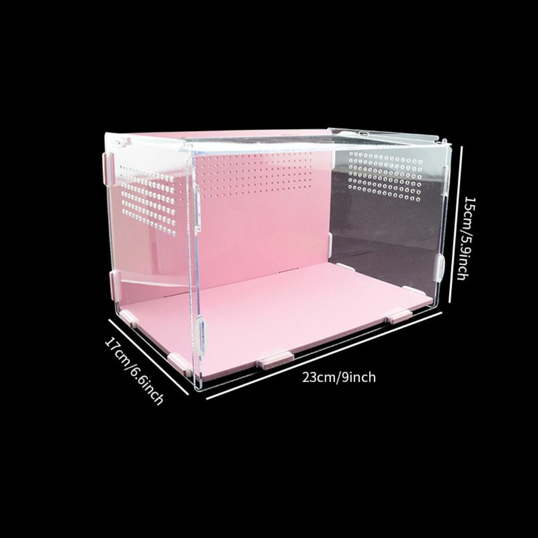 Plastic Acrylic Reptile Terrarium Breeding Box Turtle Wild Trap Holding Large Customized Size Durable Eco-Friendly Animal Pet