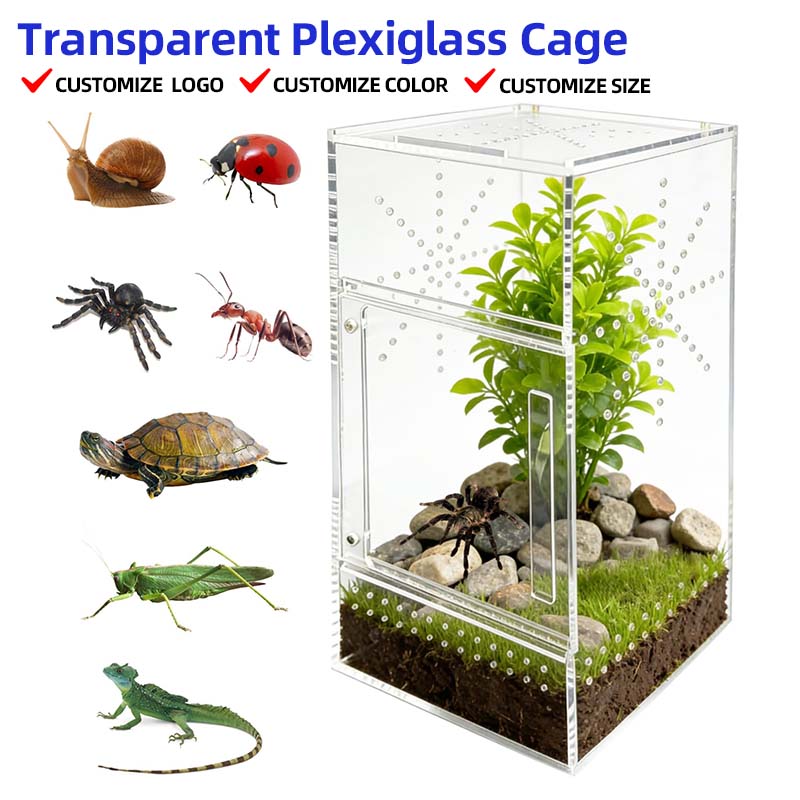 Sleek Transparent Plexiglass Cage With Micro Ventilation Holes Escape Proof Magnetic Closure Vertical Small Scale Breeding Case