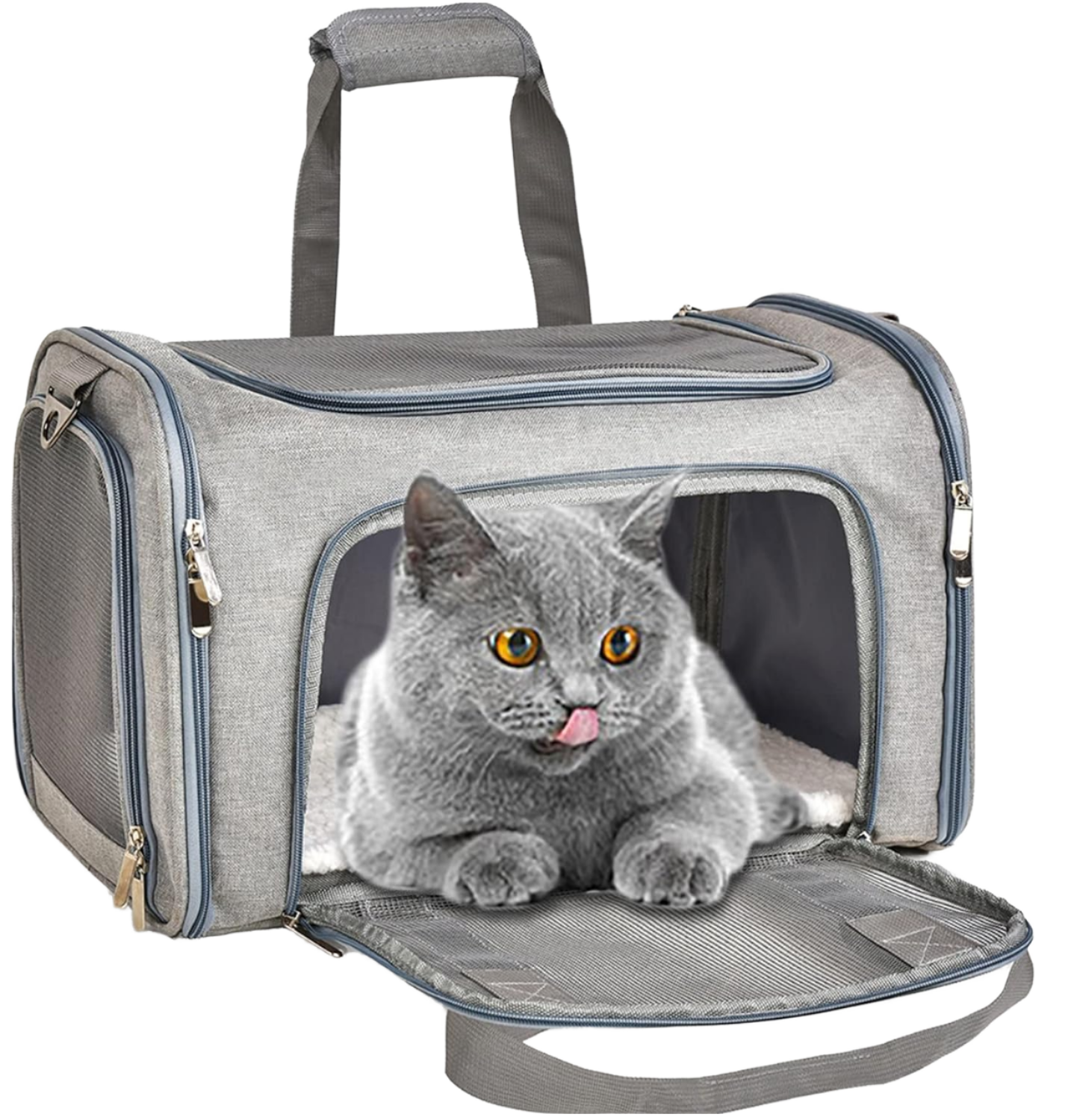 Portable Airline Approved Cat Dog Pet Carrier Nylon Fabric 10kg Capacity Mobile Backpack Style Small Dog Carrier Soft Sided TSA