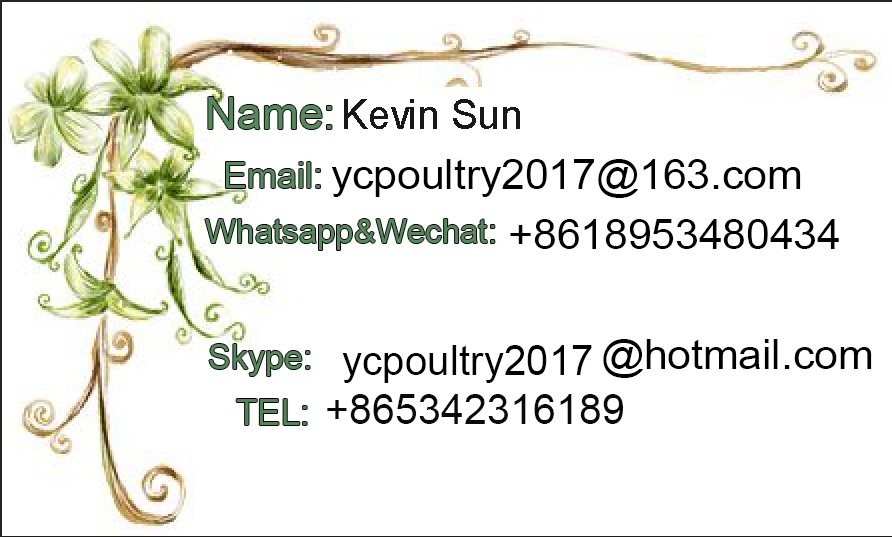 Related product 7