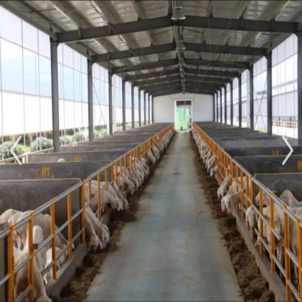 Farming Steel Structure Housing for Poultry and Livestock Ranch