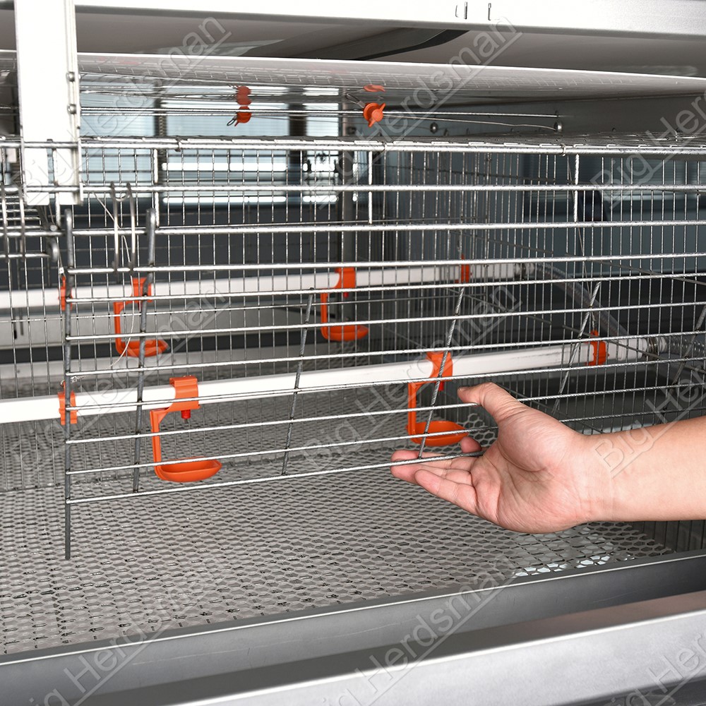 Poultry Breeder Cage System With Adjustable Three Level Water Line For Commercial Breeding Operations