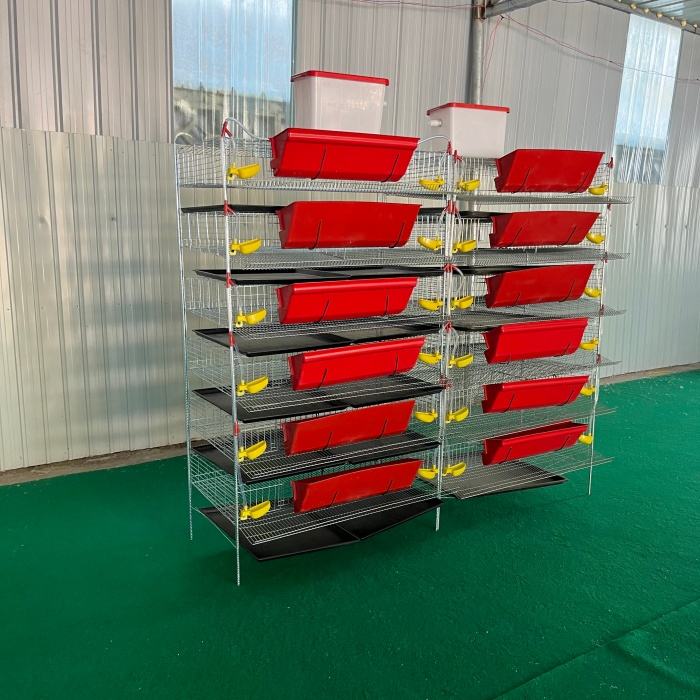 New Multi-Purpose H Type Quail Cage with Removable Waste Tray for Quails &amp; Chicks Small Poultry Easy Clean Wire Mesh Structure