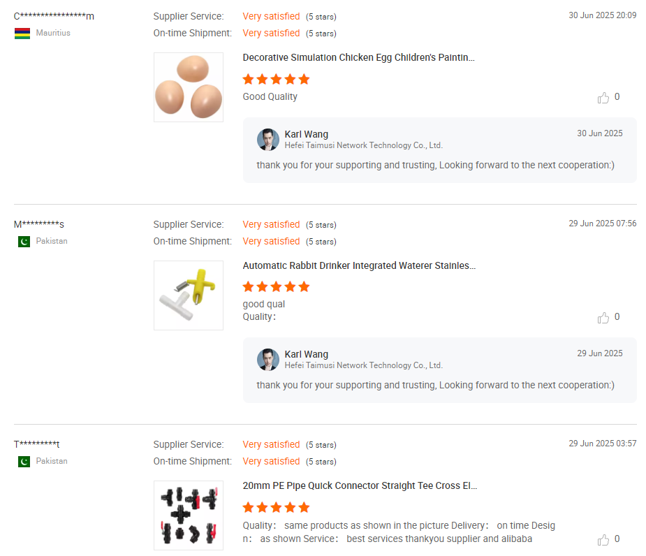 Customer Feedback 3