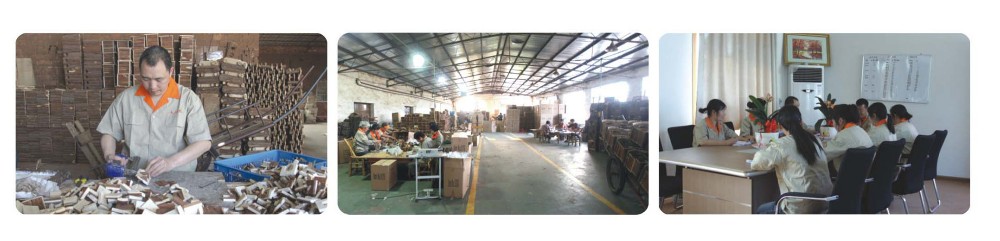 Factory Workshop Overview