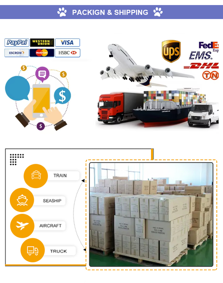 Manufacturing Process