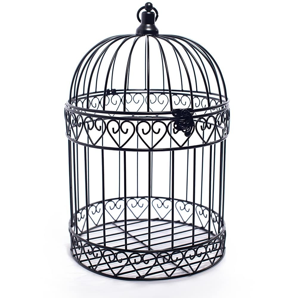 Bird Cage Showcase 6