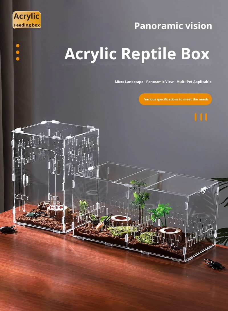 Modern Acrylic Reptile Breeding Box