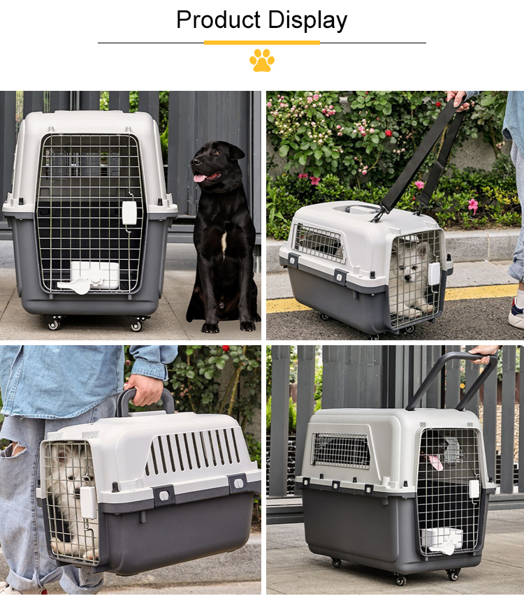 Pet Carrier Detail 3