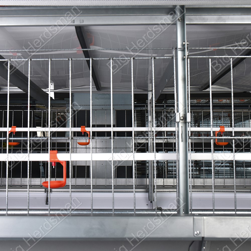 Poultry Breeder Cage System With Adjustable Three Level Water Line For Commercial Breeding Operations