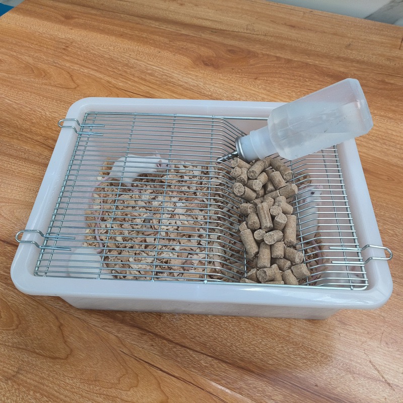 Laboratory Rodent Breeding Cage Ventilated Housing for Mice Rats &amp; Fancy Rats for Research &amp; Breeding Plastic Fashion Design