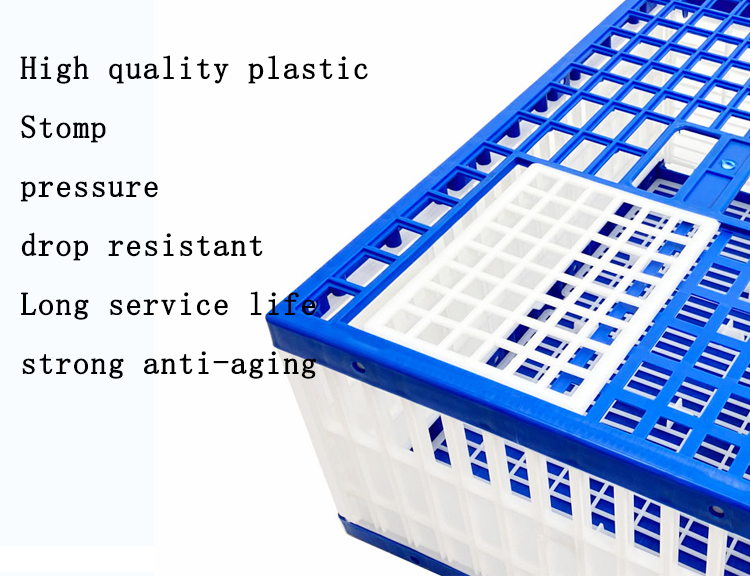 Wholesale Customizable Plastic Pigeon Cage, Stackable Breeding Box for Pigeons, Easy Clean Design