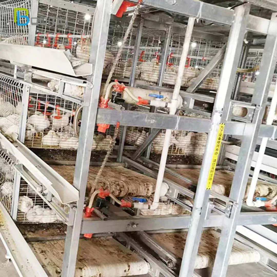 Expandable Modular Cage System for Industrial Poultry Farming H Type a Type Capacity Expansion Poultry Battery Farm Broiler Chicken Equipment/Coop/Cage