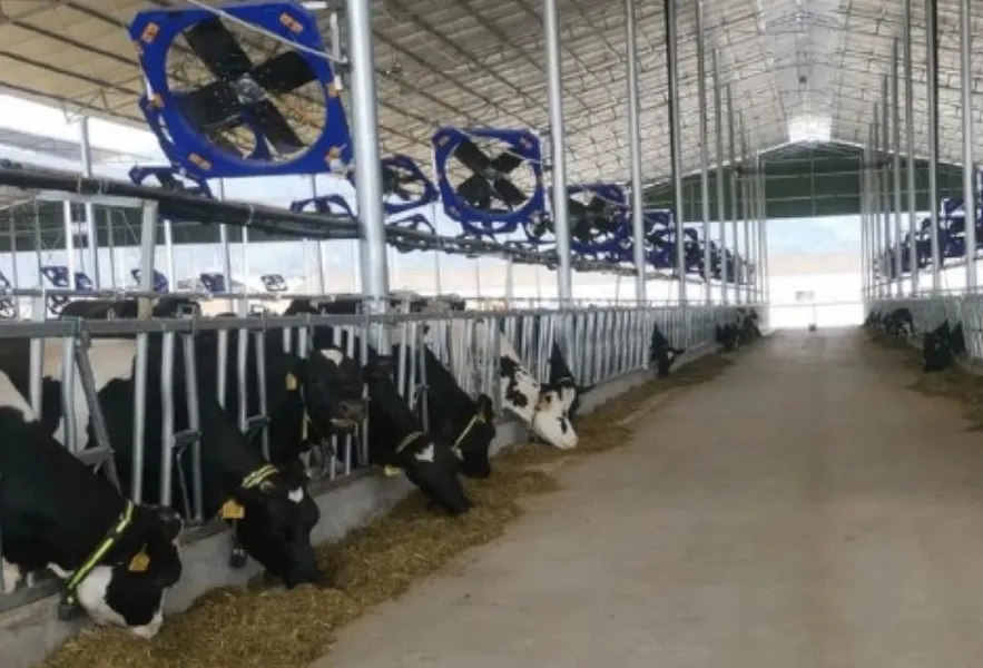 Farming Steel Structure Housing for Poultry and Livestock Ranch