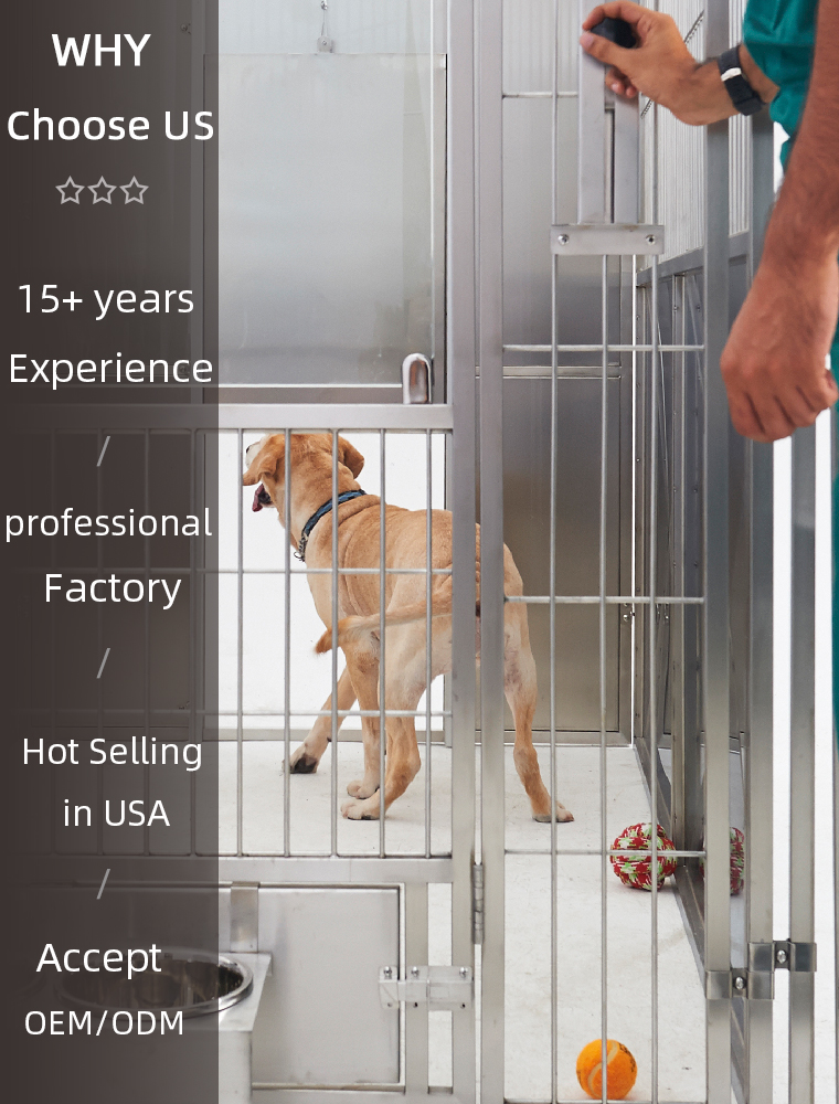 Walk-in Kennel System Overview 3