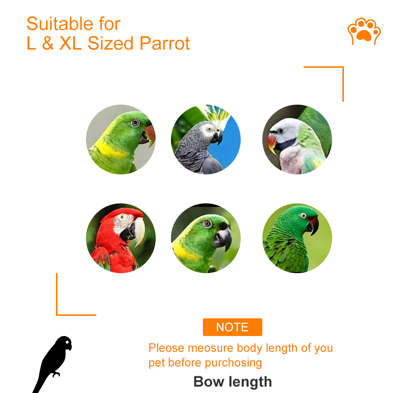 Outdoor Large Luxury Classic Stainless Steel Parrot Cage with Durable Anti-Collision Breathable Design Modular Bird Cage