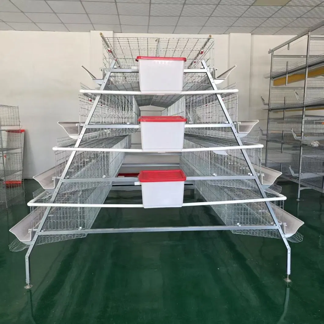 Modular Expandable Configuration Allowing Gradual Farm Capacity Growth Chicken Cage System