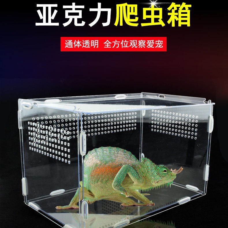 Product Detail 7