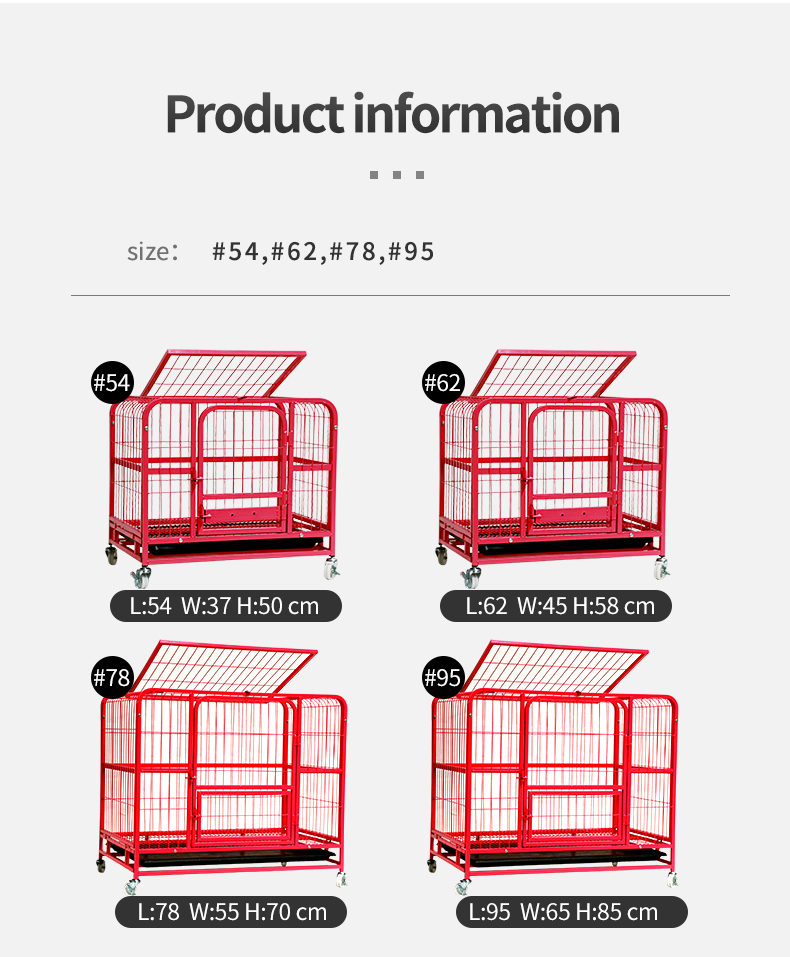 Product Showcase