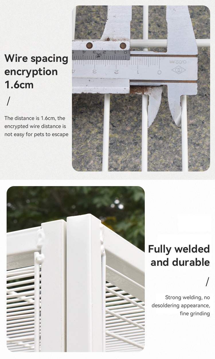 Product Detail 10