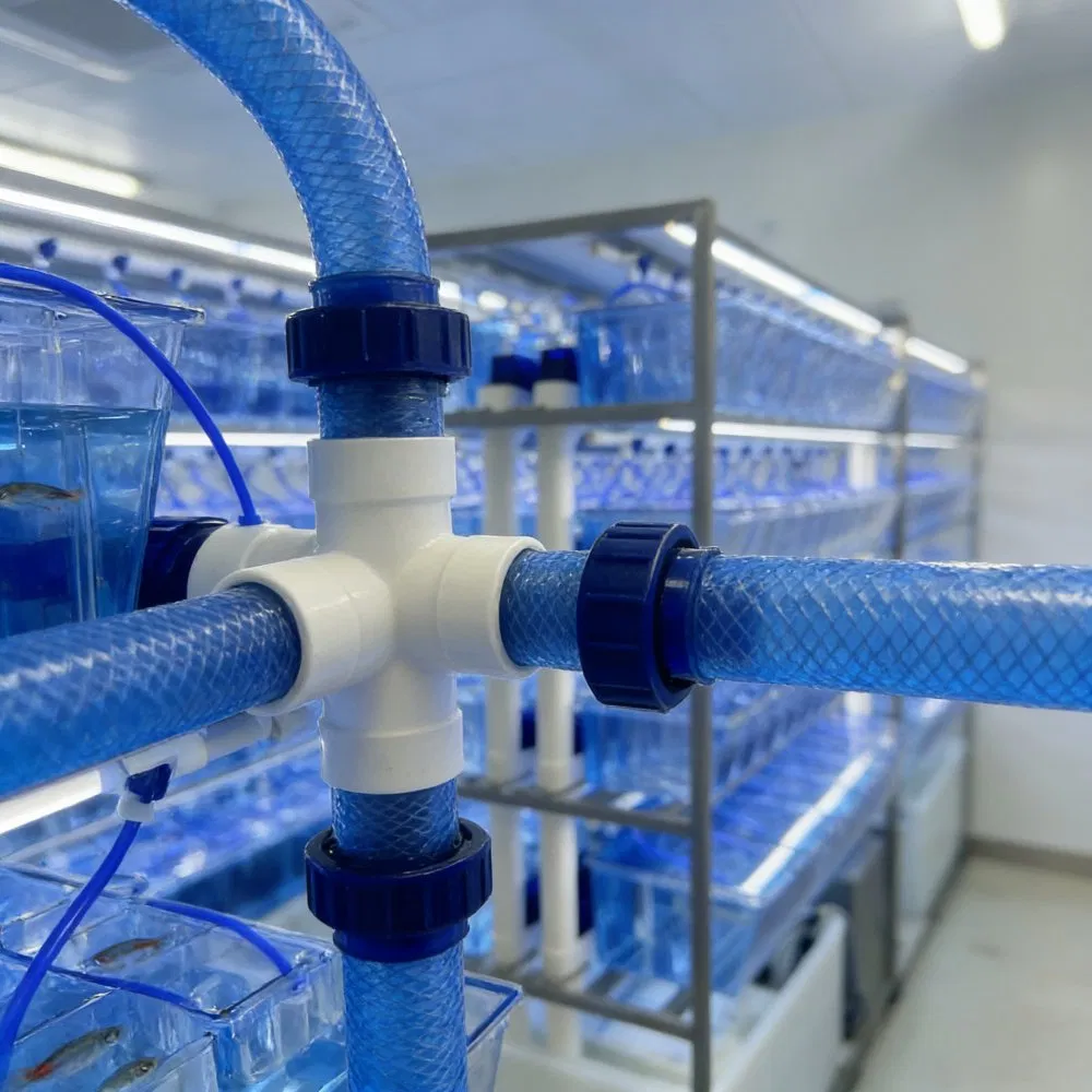 Zebrafish Housing Breeding and Water Filtration System