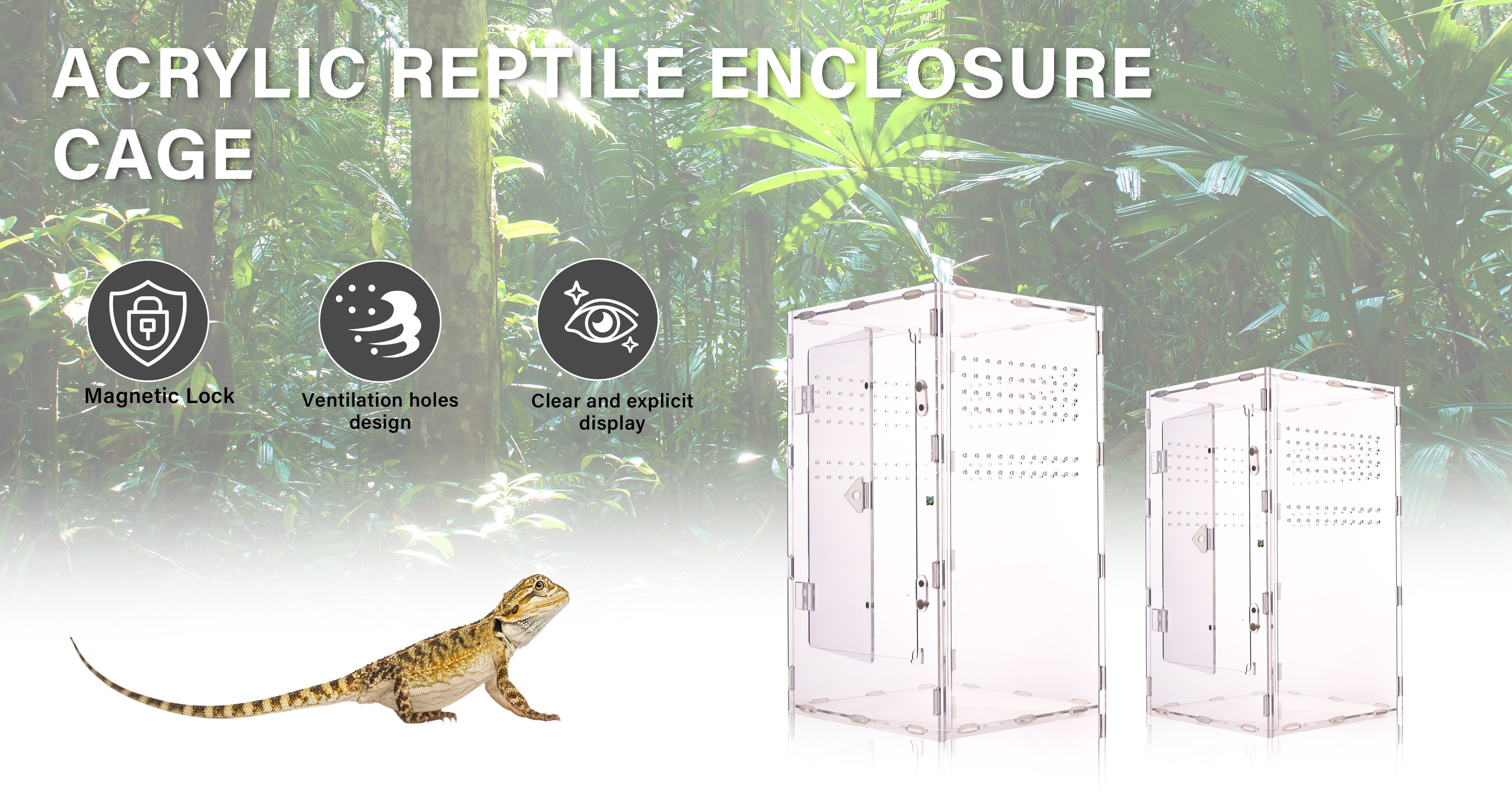 Custom Acrylic Detachable Reptile Terrarium