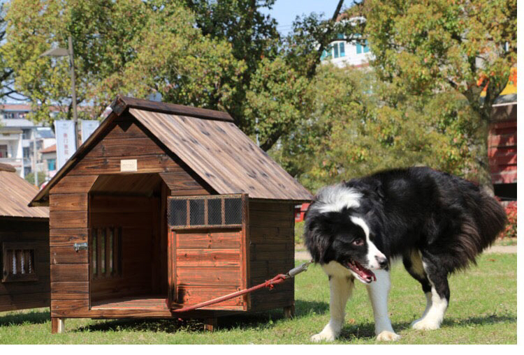 Luxury Modern All-Season Large Dog Shelter Rainproof Outdoor Wood Kennel Button Closure Solid Animal Design Dog House Cage OEM