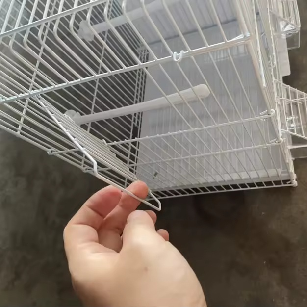 Luxury Parrot Bird Cage Display 5