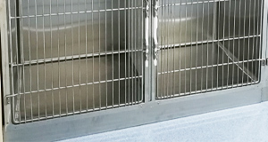 Stationary Platform
