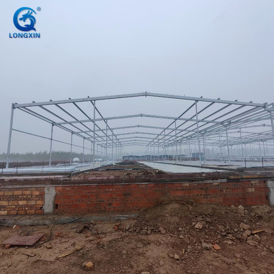 Steel Pig Barns Modular Housing Systems Quick-Install Poultry Farm Buildings Lightweight Structure