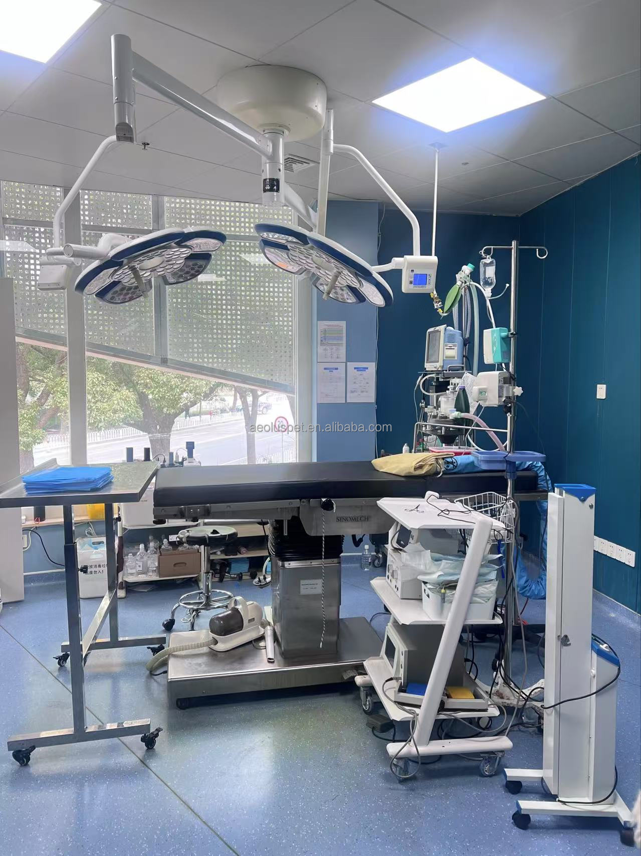 Pet Hospital Product 7