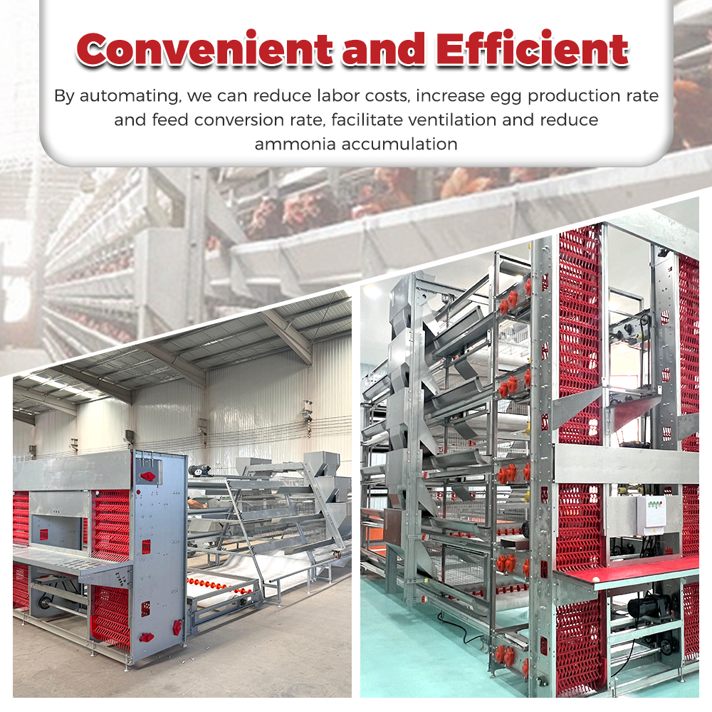 H Type Fully Automatic Animal Chicken Cage Laying 120/160 Capacity 20000 Birds Poultry Breeding Battery Egg Layer Cage for Sale