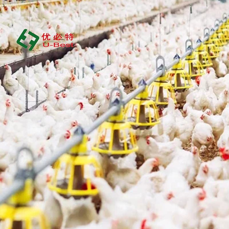 Advanced Design Complete Controlled Poultry Shed Farm Building Prefabricated Housing Steel Structure