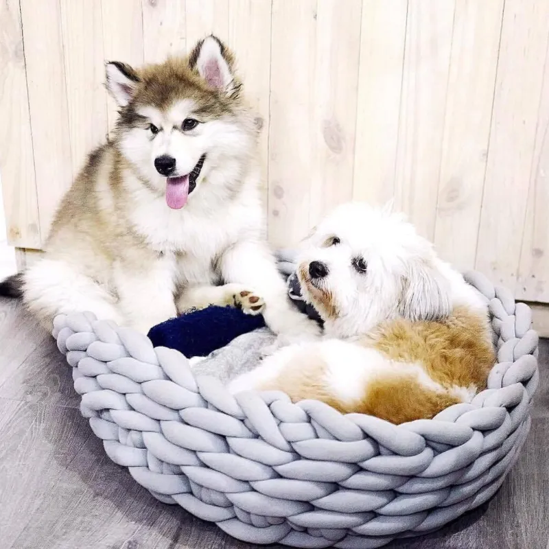 Hot Pets Beds Winter Comfortable Cartoon Style Knot Cotton Cat House Pet Cat Bed