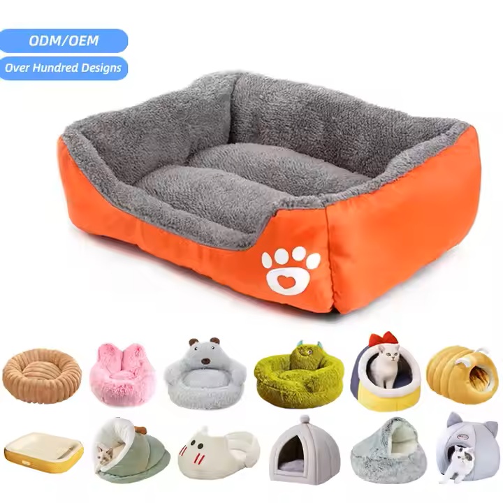 Recommend Product 5