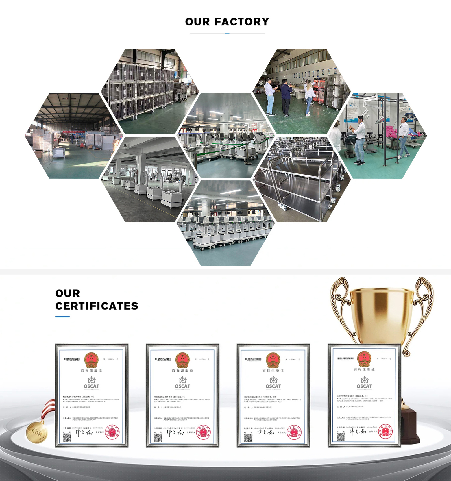 Company Overview 2
