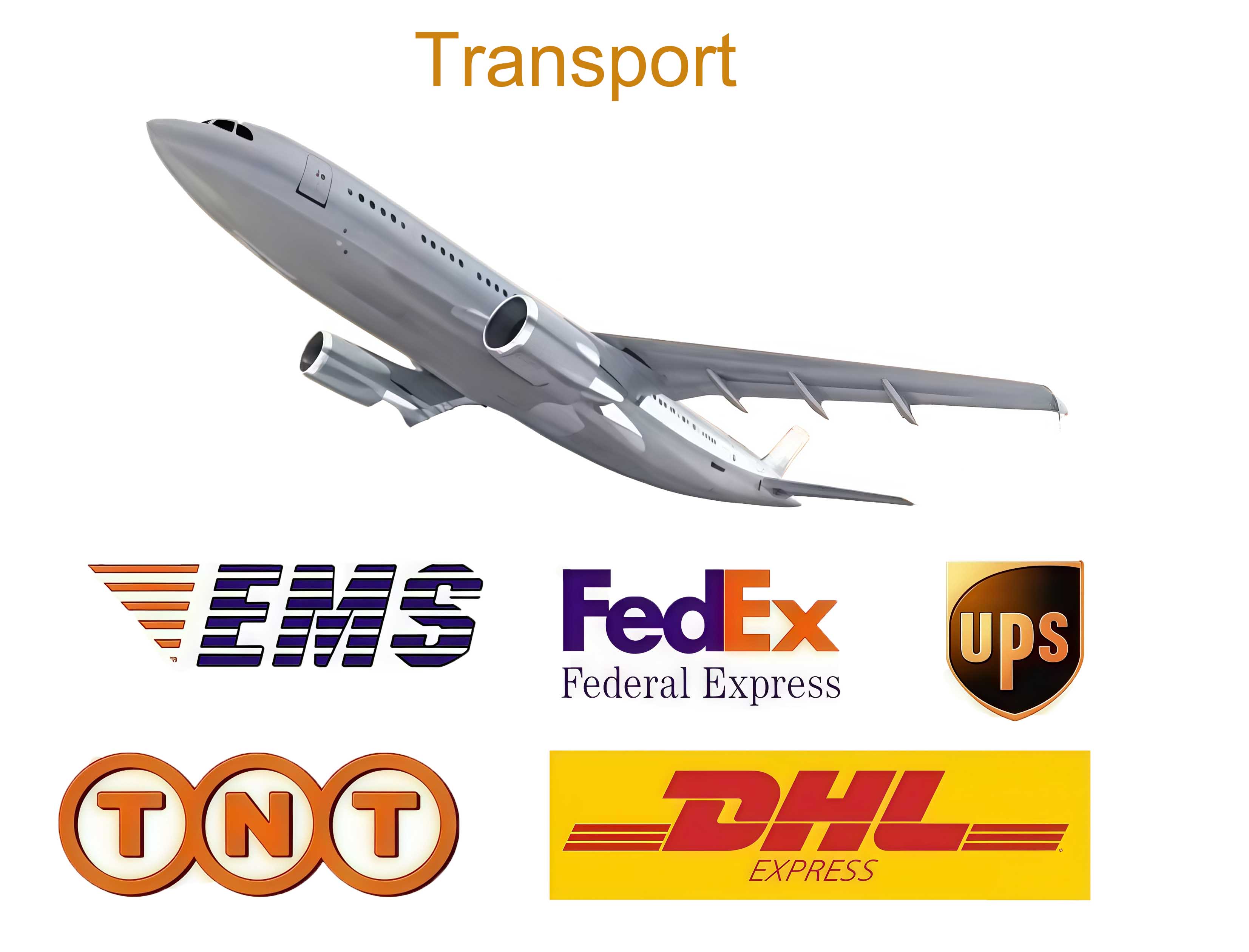 Pet Products Logistics and Delivery