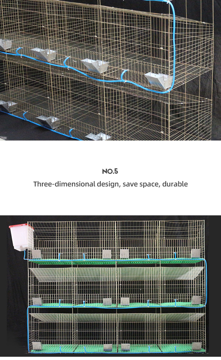 Rabbit Cage View 4
