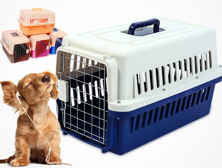 Dog Travel Carrier Lock System