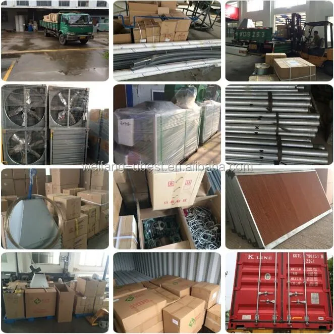 Packaging and Shipping Setup
