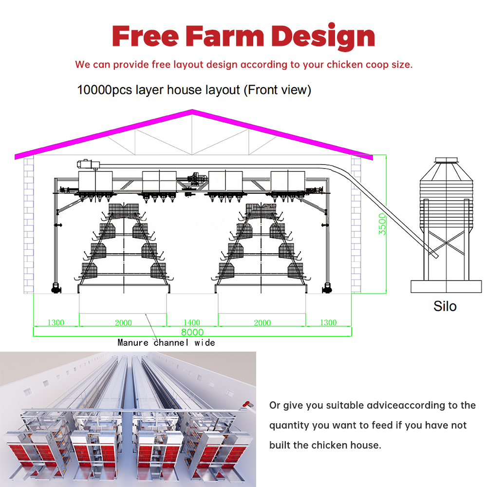 H Type Fully Automatic Animal Chicken Cage Laying 120/160 Capacity 20000 Birds Poultry Breeding Battery Egg Layer Cage for Sale