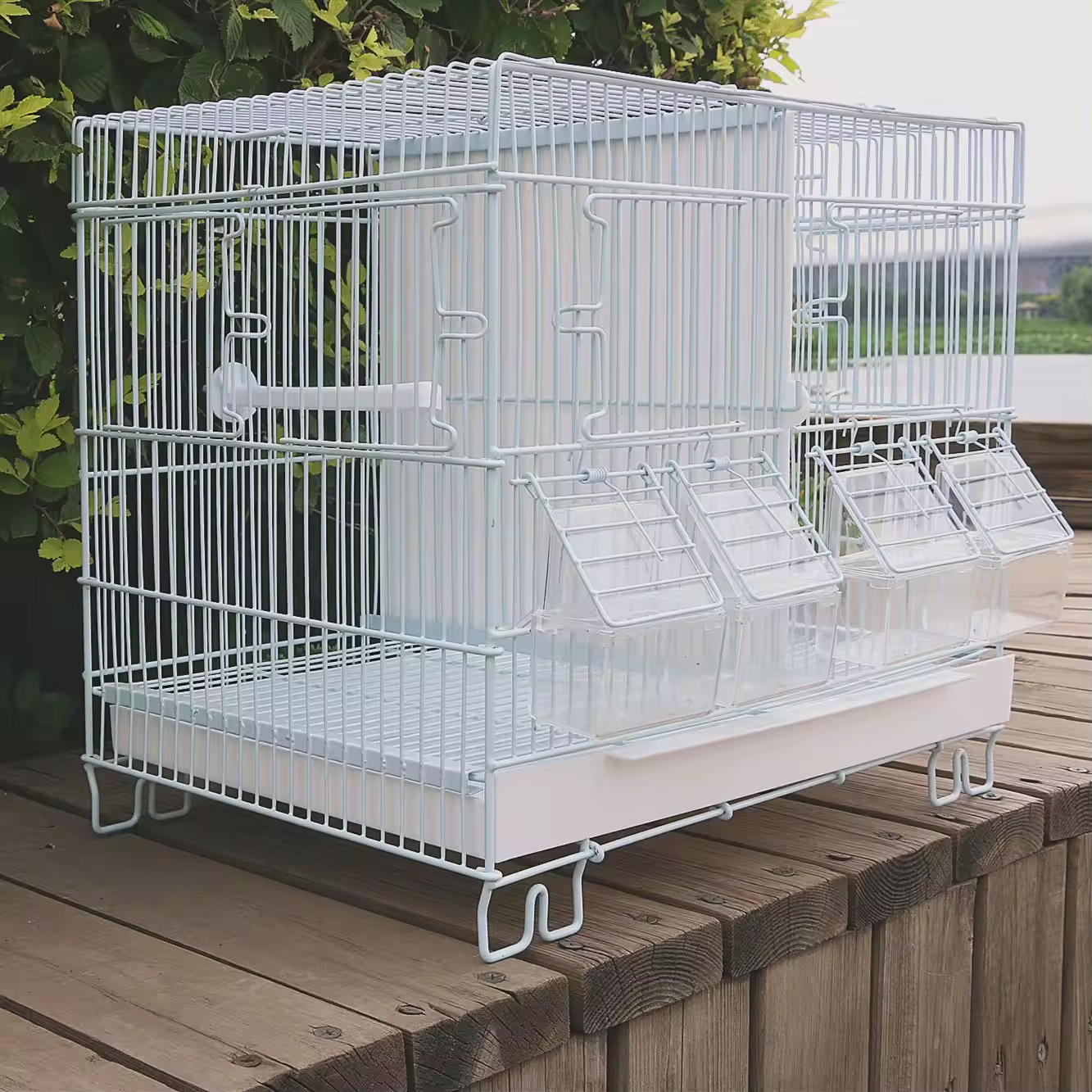 Luxury Parrot Bird Cage Display 4